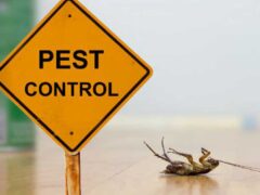 pest control company red deer